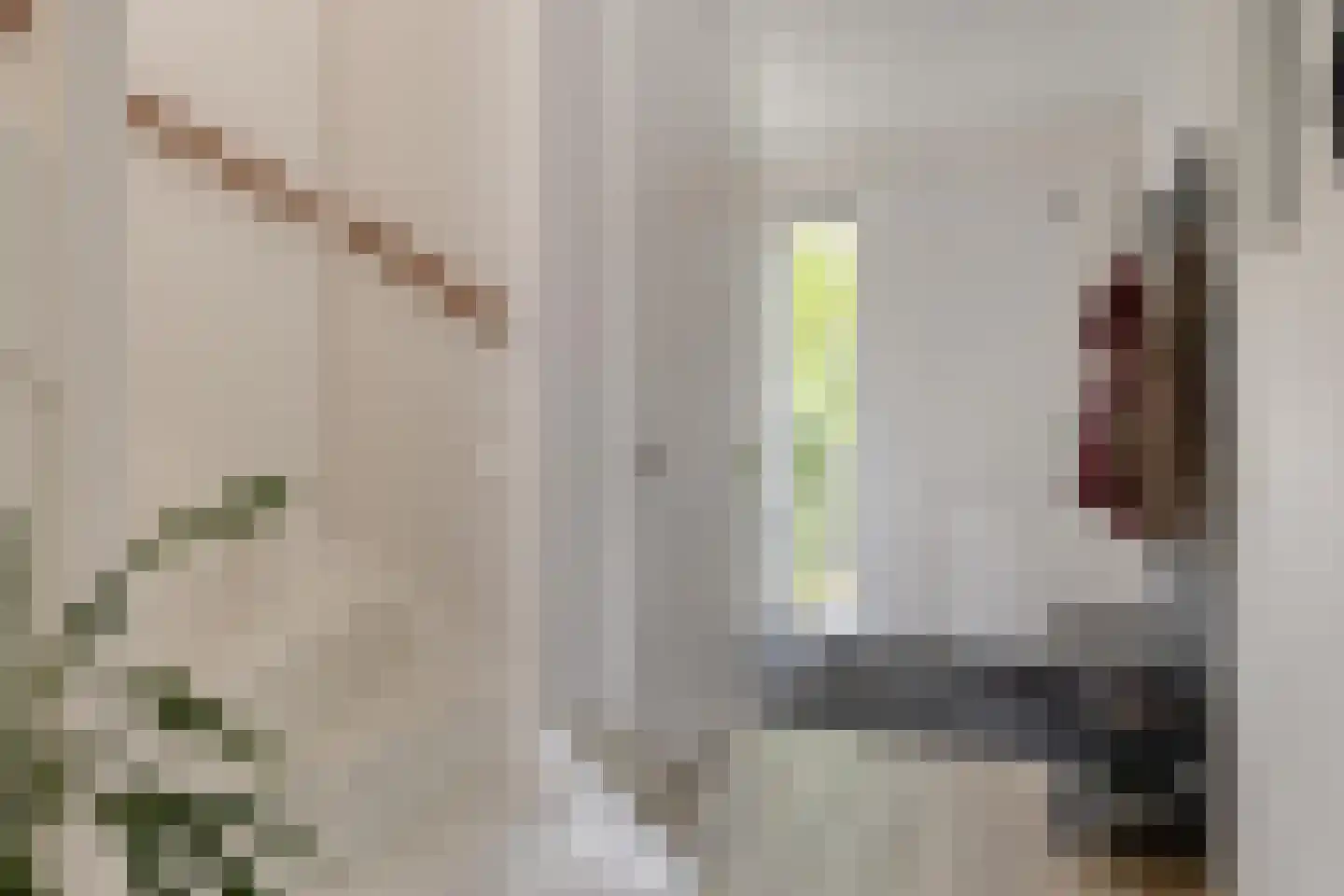 Notarisappel 11 Kampen thumbnail 15