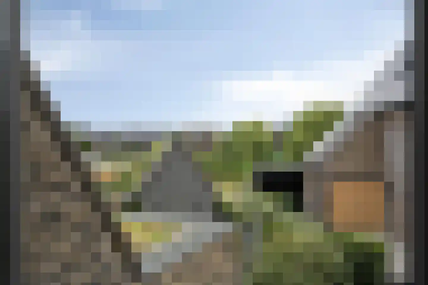 Notarisappel 11 Kampen thumbnail 18