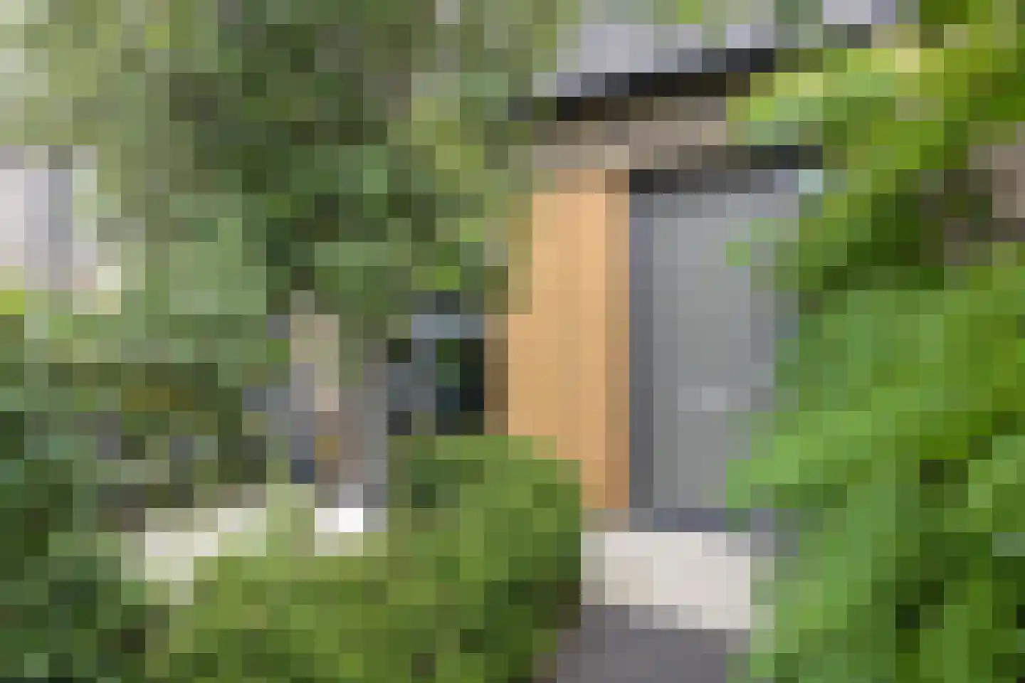 Notarisappel 11 Kampen thumbnail 31