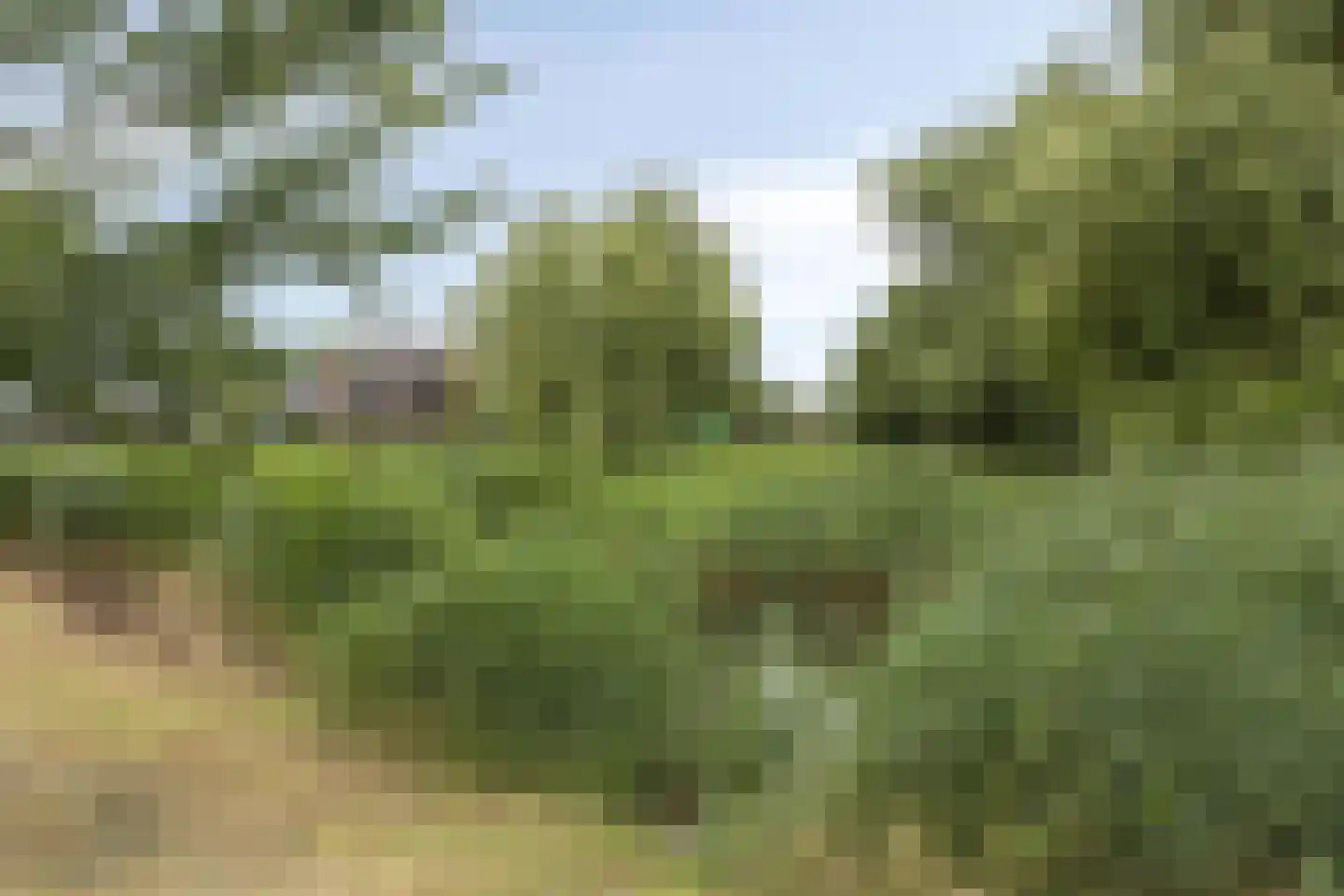 Notarisappel 11 Kampen thumbnail 36