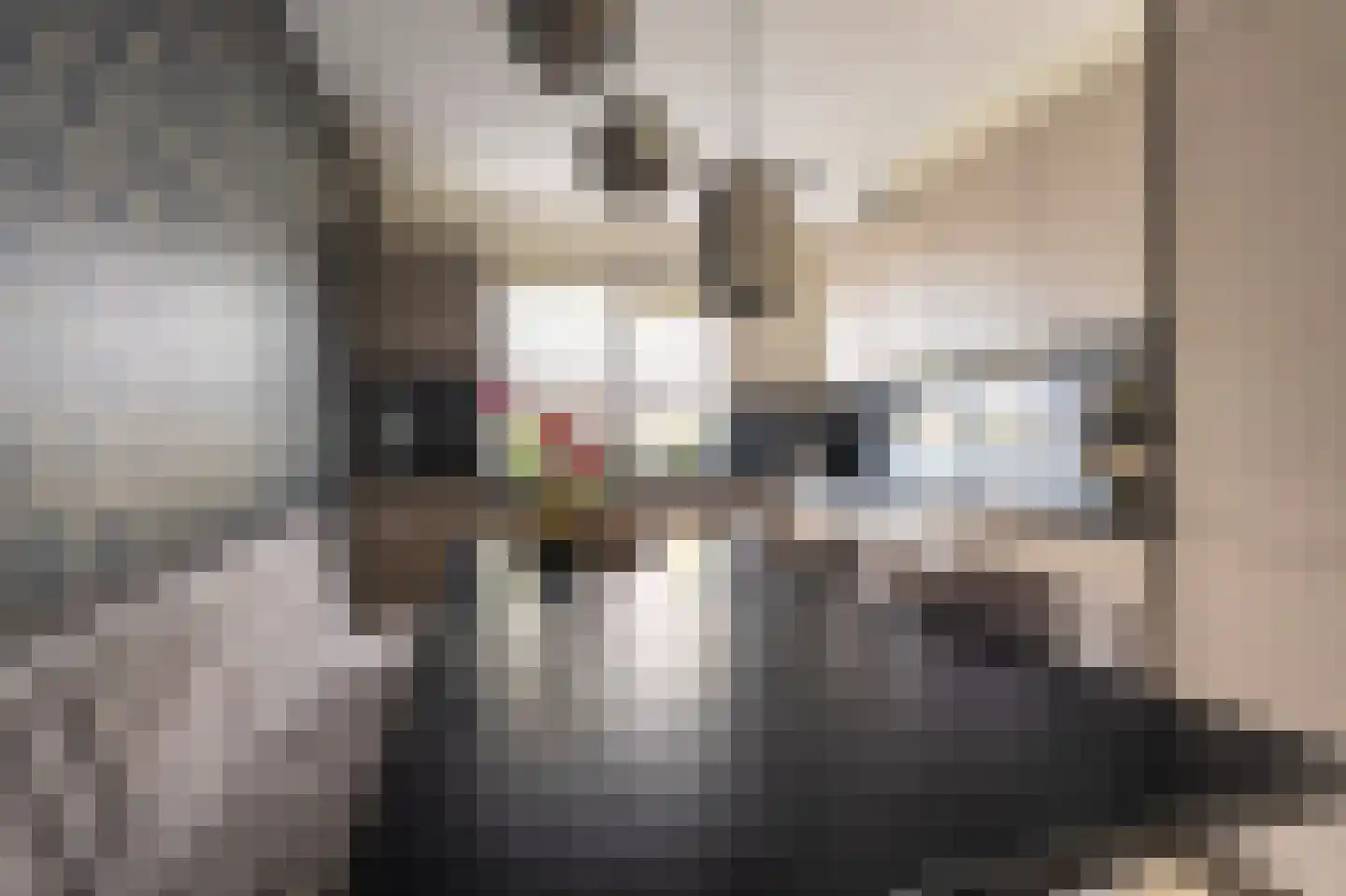 Notarisappel 13 Hoogezand thumbnail 10