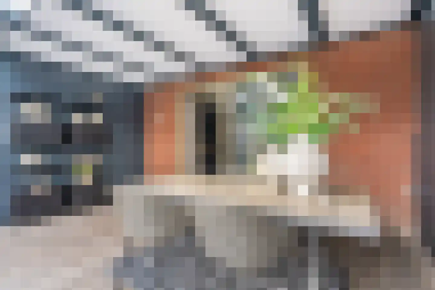 Notarisappel 13 Hoogezand thumbnail 16