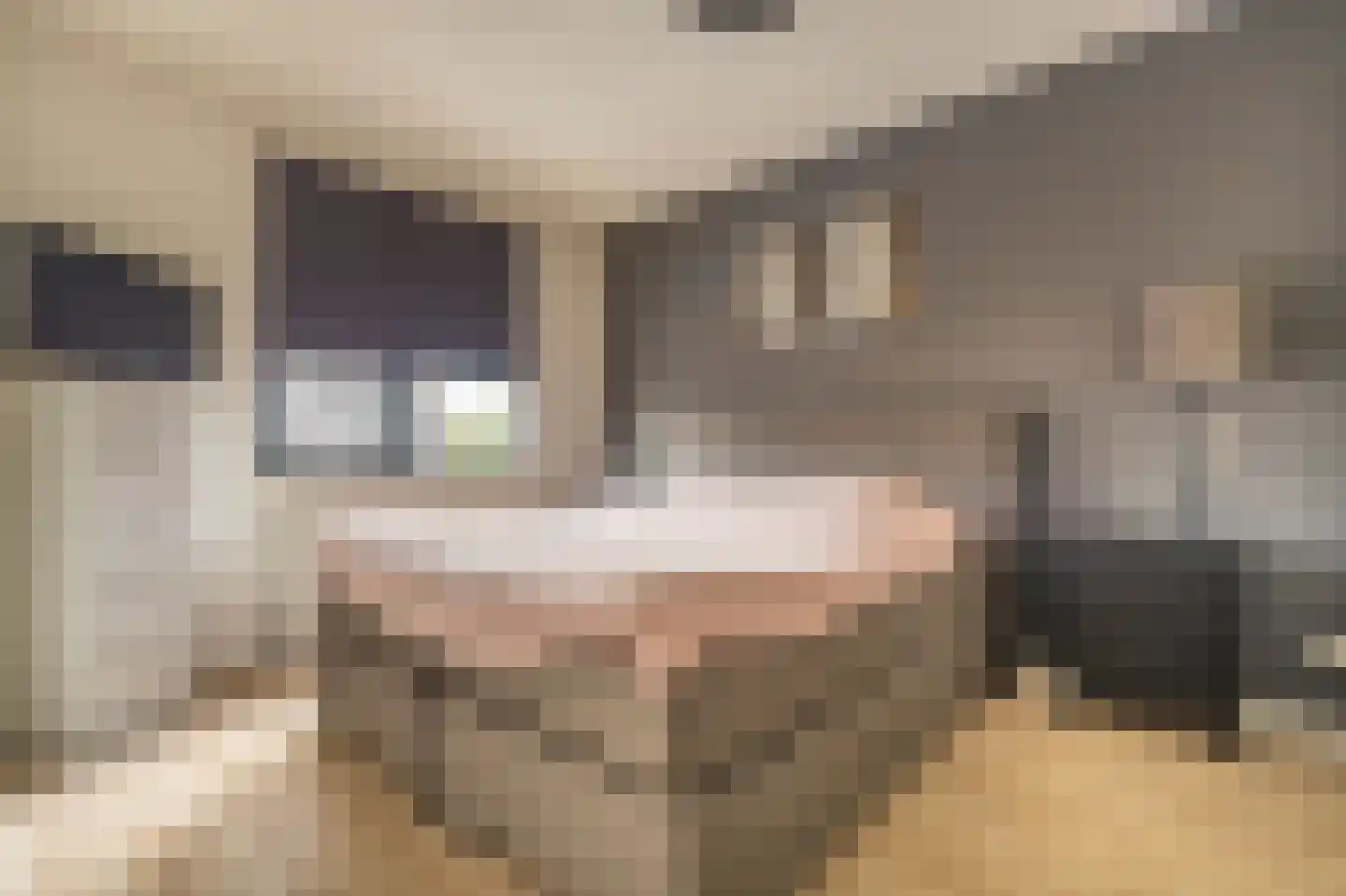 Notarisappel 13 Hoogezand thumbnail 19