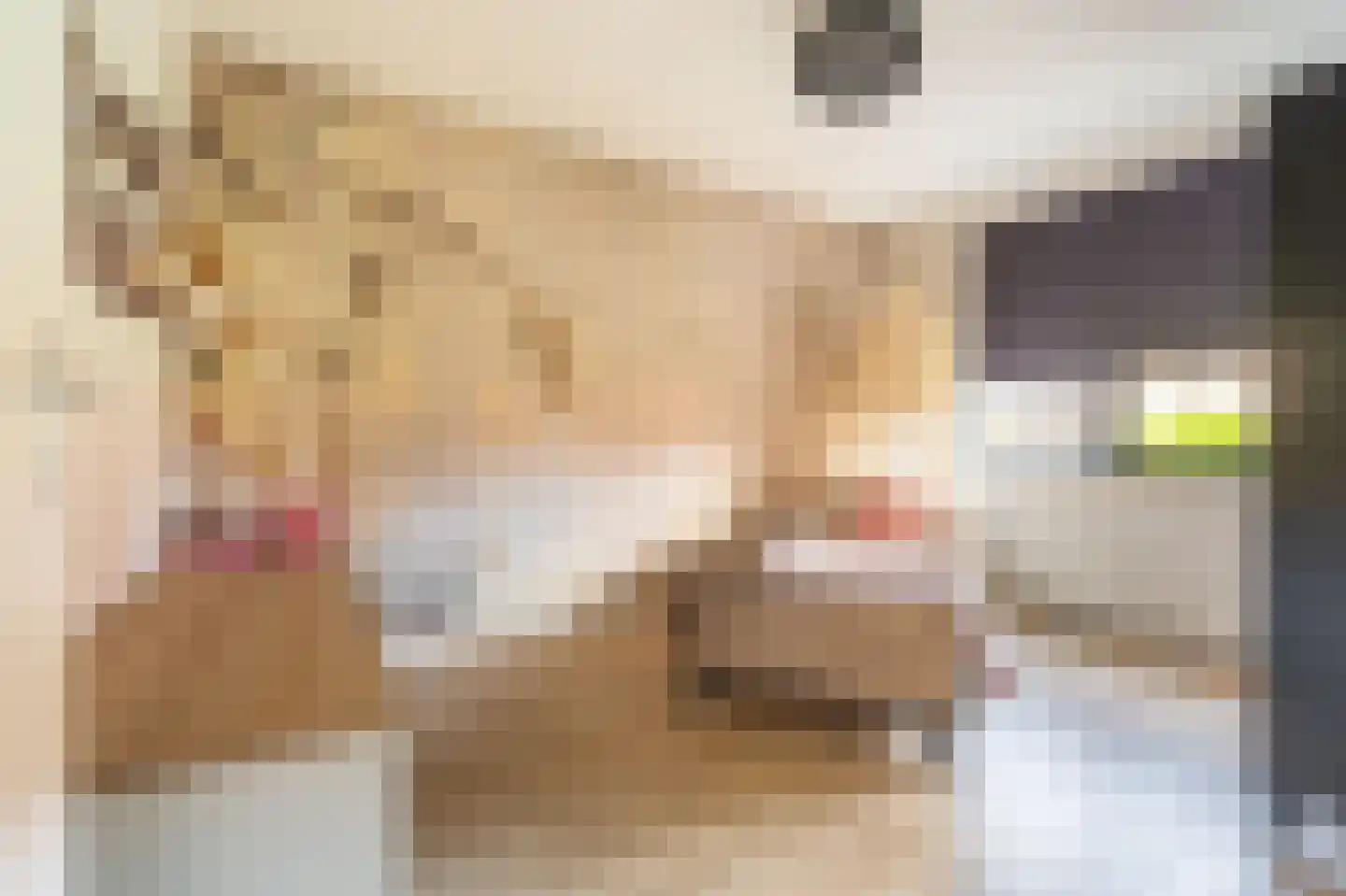 Notarisappel 13 Hoogezand thumbnail 22