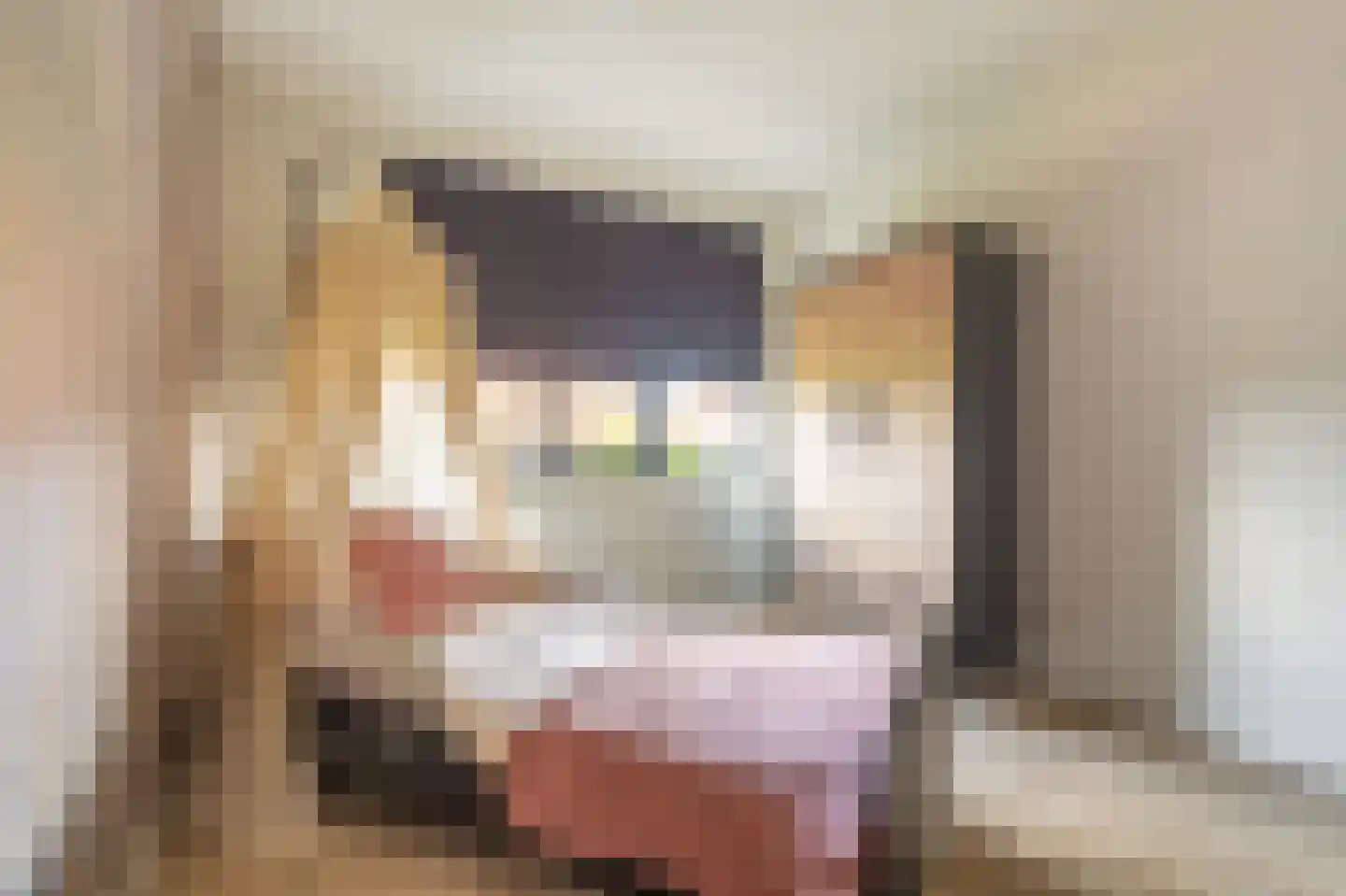 Notarisappel 13 Hoogezand thumbnail 23