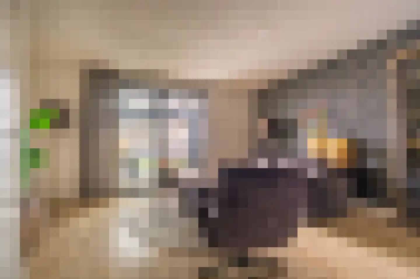 Notarisappel 13 Hoogezand thumbnail 4