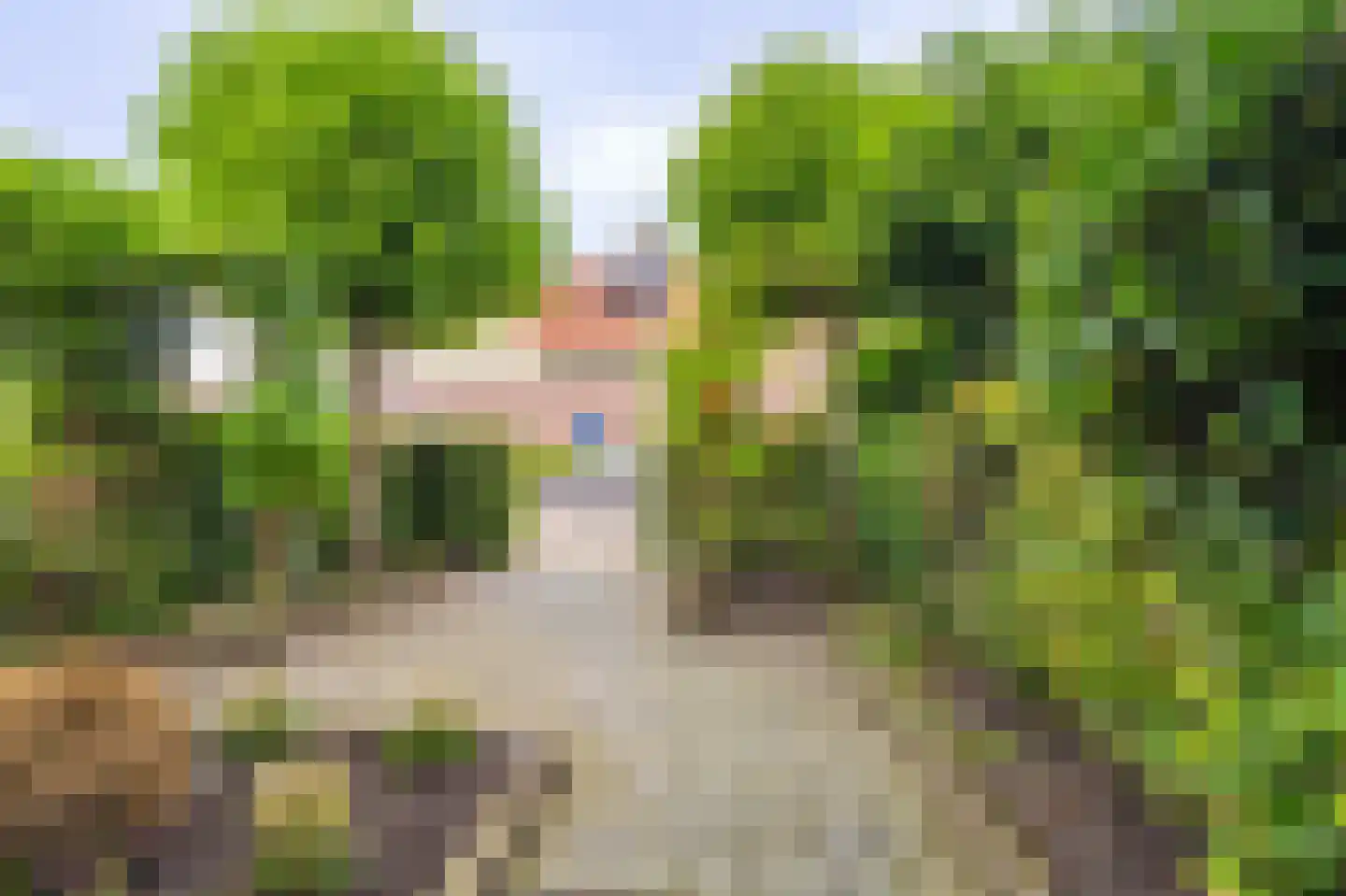 Notarisappel 13 Hoogezand thumbnail 41