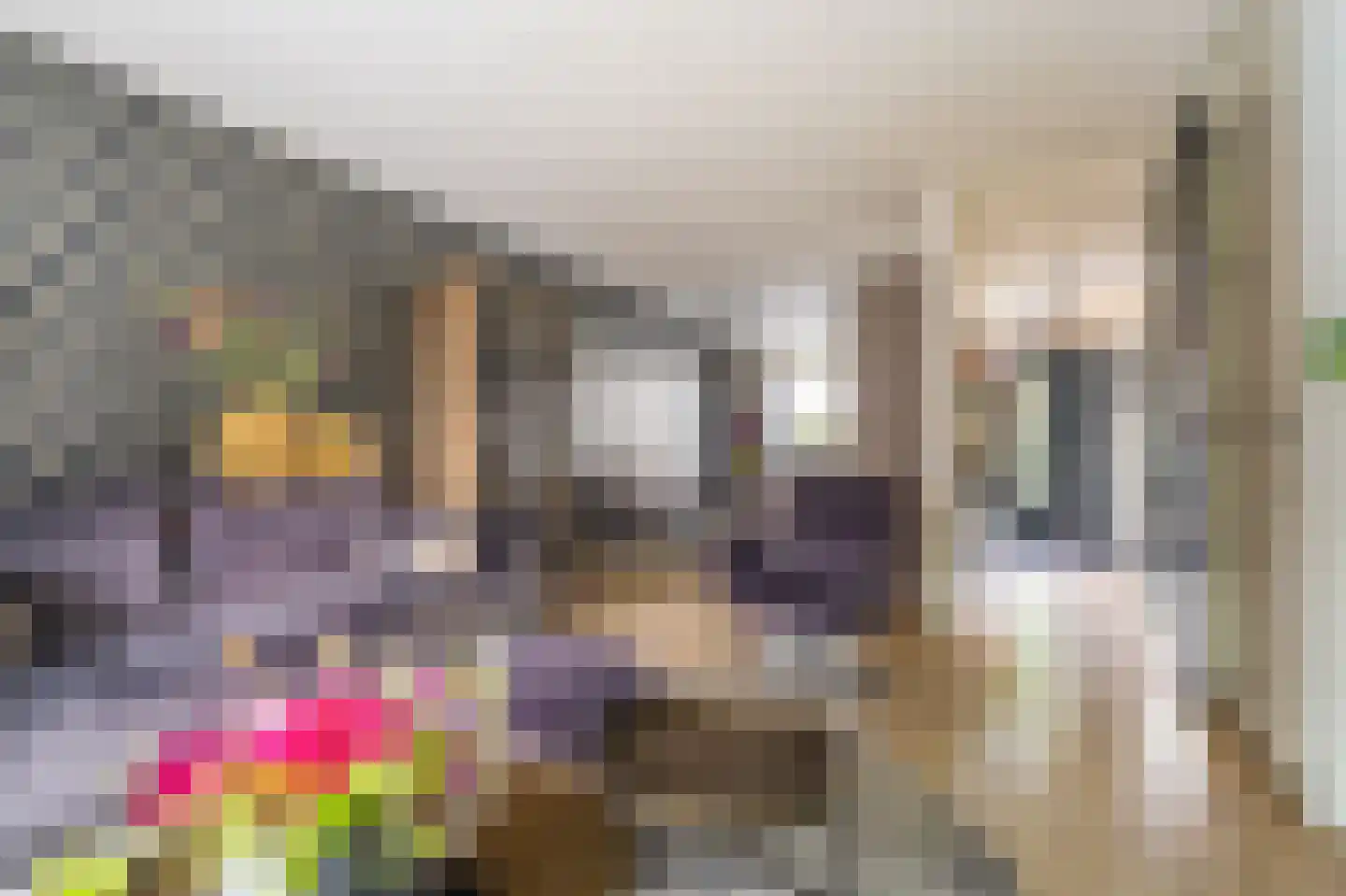 Notarisappel 13 Hoogezand thumbnail 6