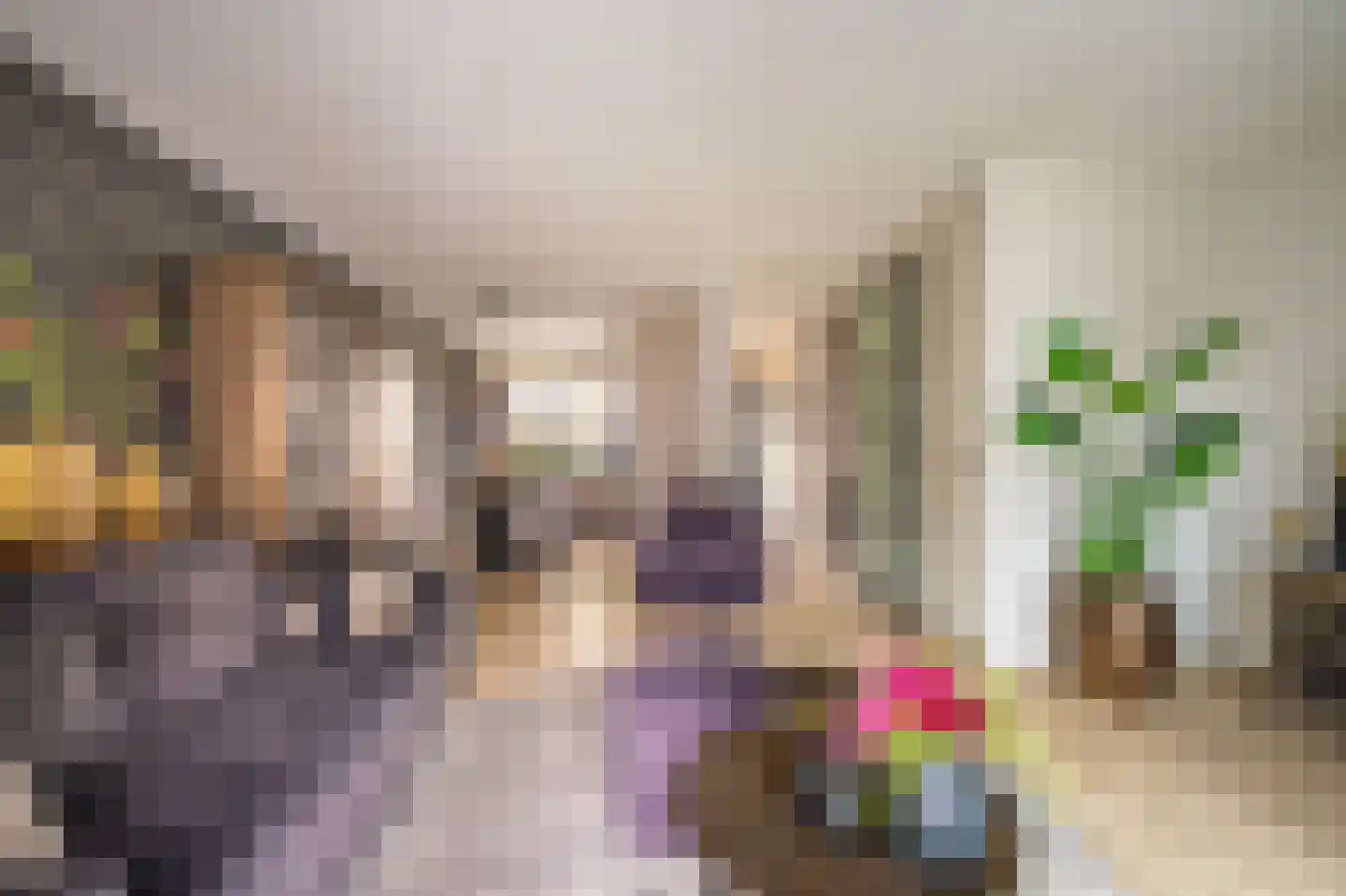 Notarisappel 13 Hoogezand thumbnail 7