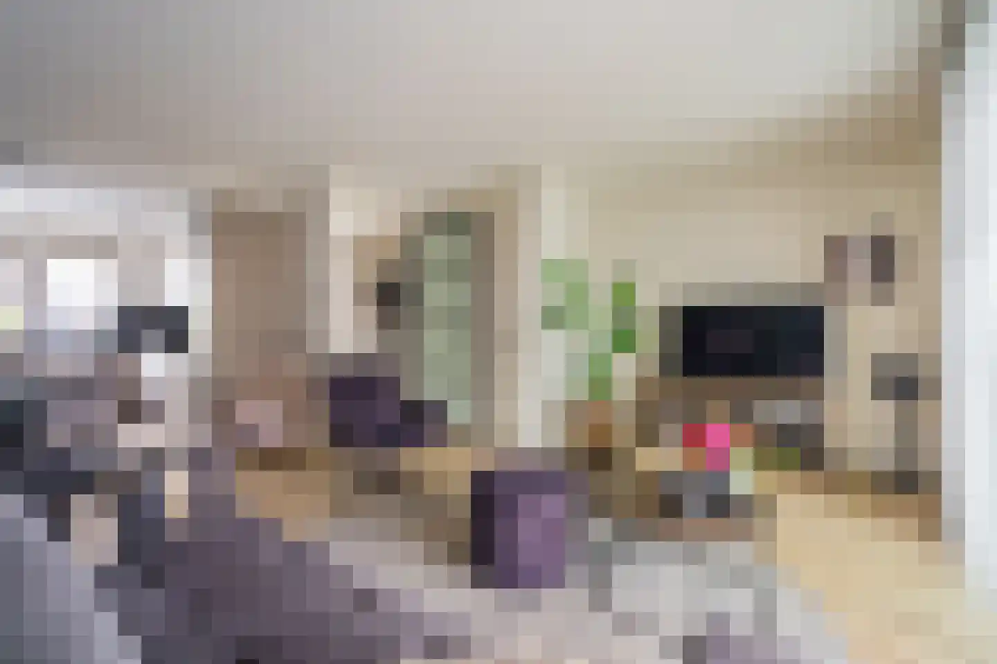 Notarisappel 13 Hoogezand thumbnail 8