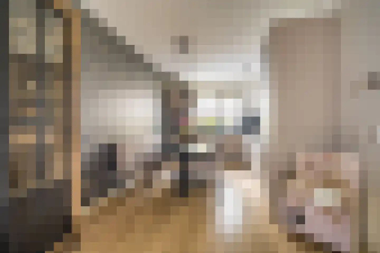 Notarisappel 13 Hoogezand thumbnail 9