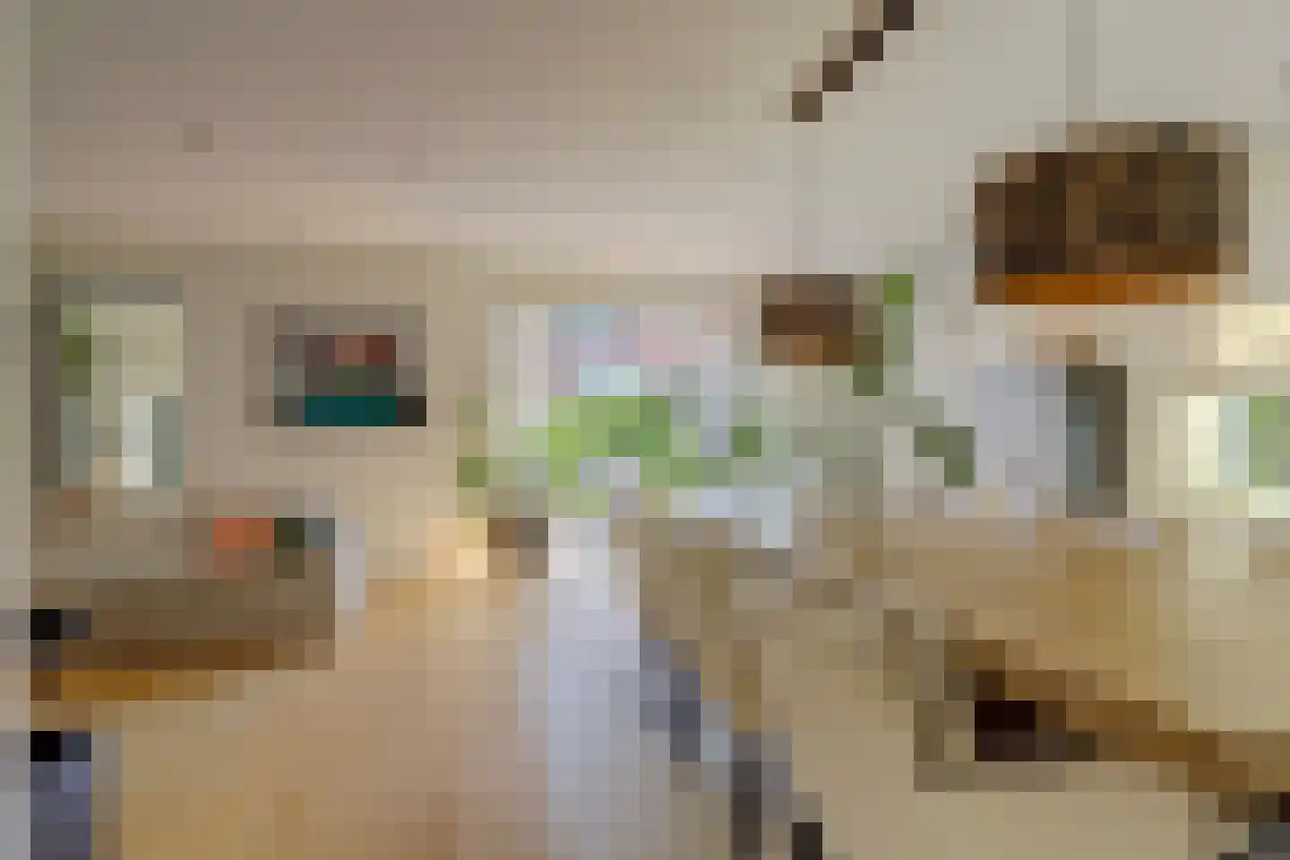 Notarisappel 17 Winkel thumbnail 10