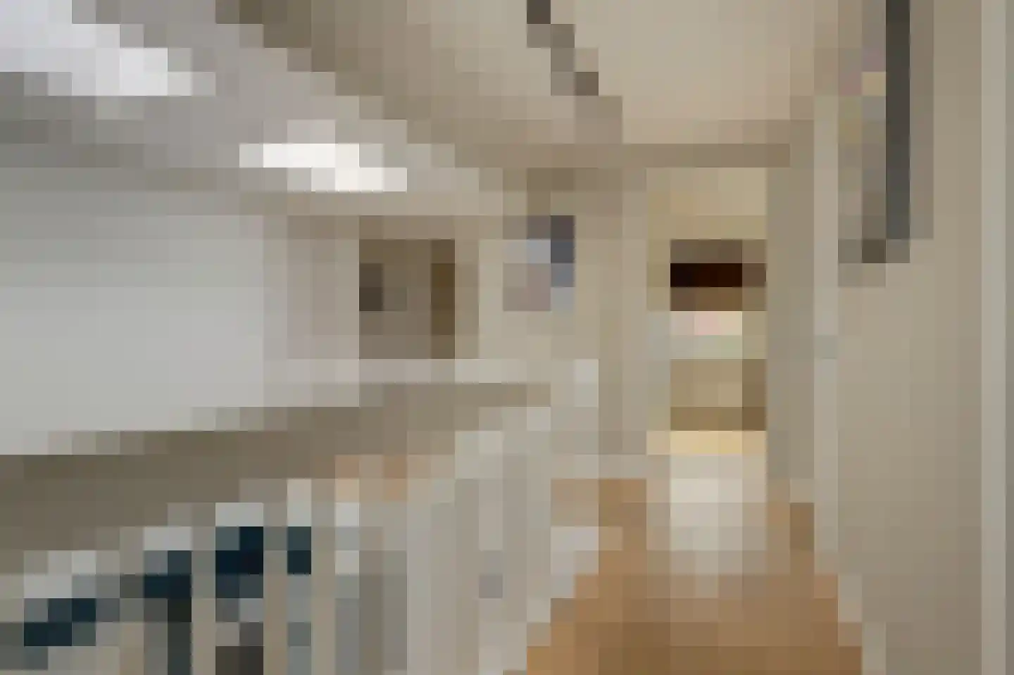 Notarisappel 17 Winkel thumbnail 29