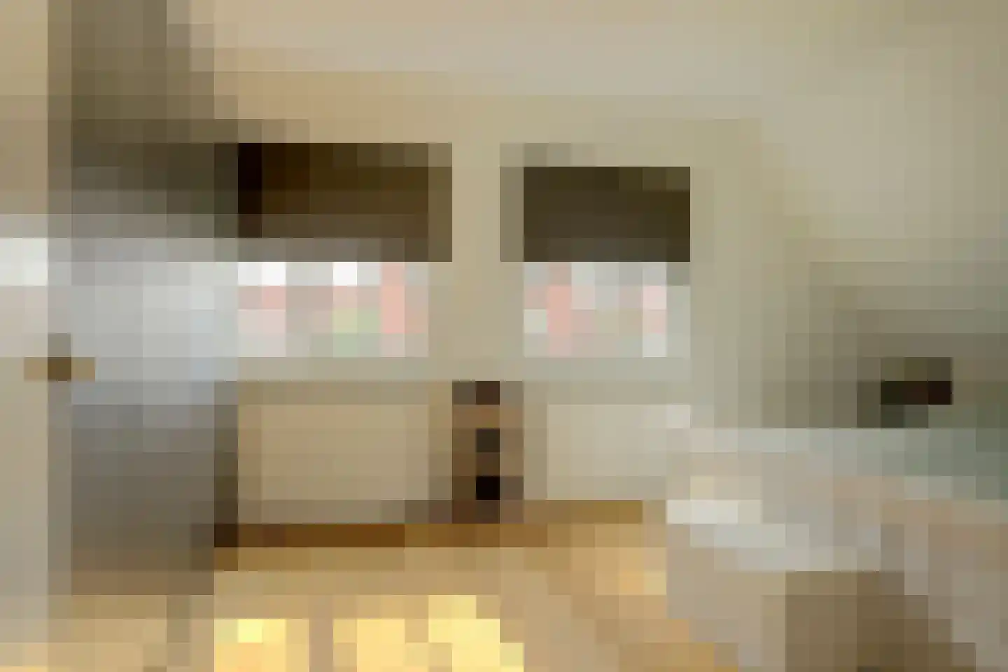 Notarisappel 17 Winkel thumbnail 30