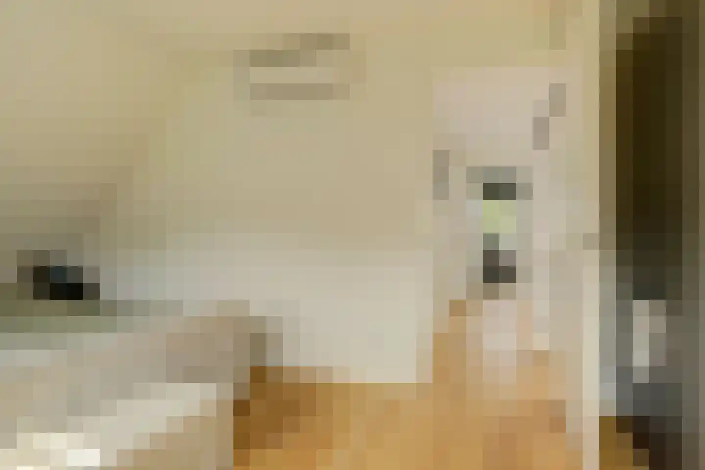 Notarisappel 17 Winkel thumbnail 31
