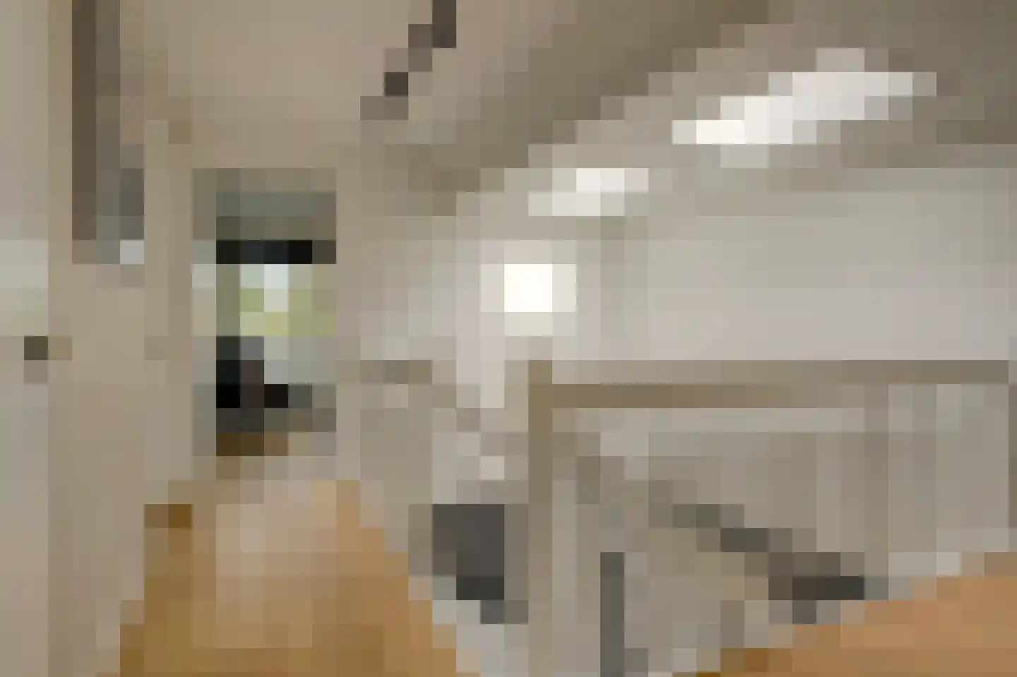 Notarisappel 17 Winkel thumbnail 32