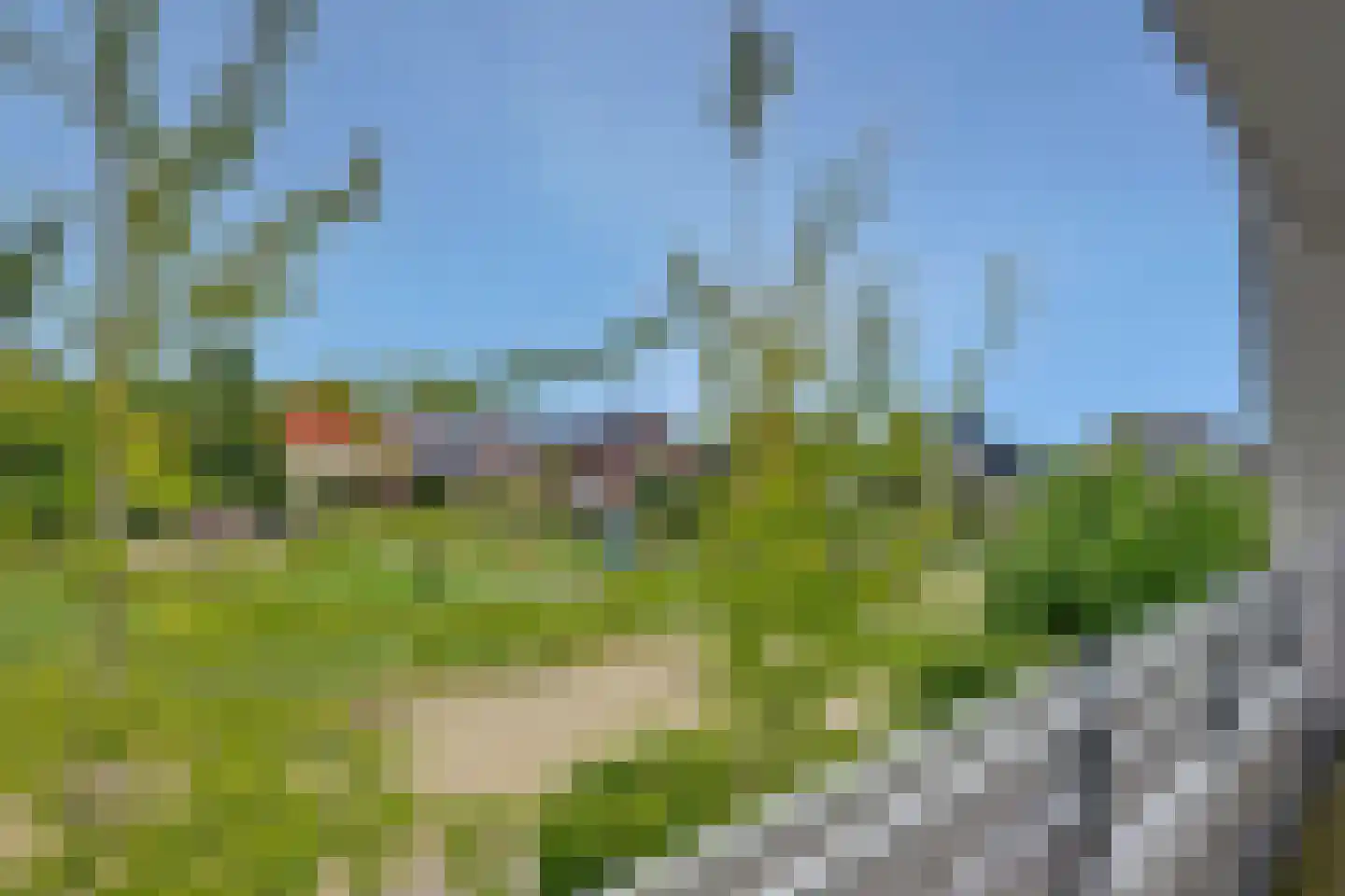 Notarisappel 17 Winkel thumbnail 34