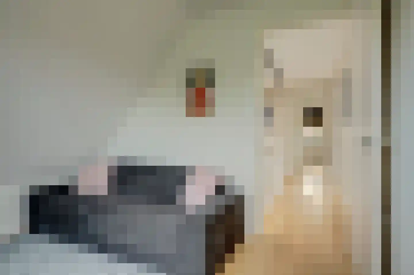 Notarisappel 17 Winkel thumbnail 35
