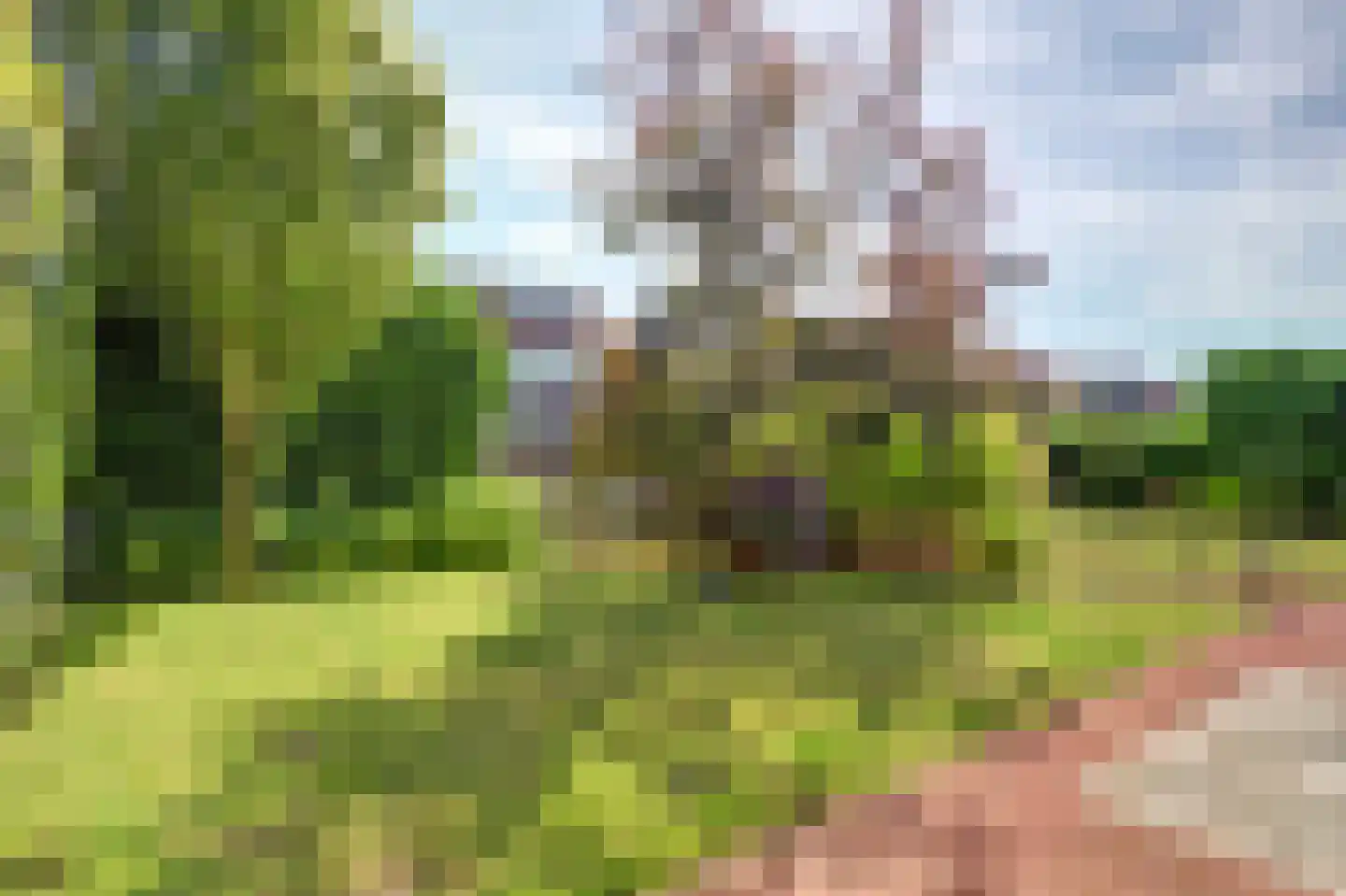 Notarisappel 17 Winkel thumbnail 55