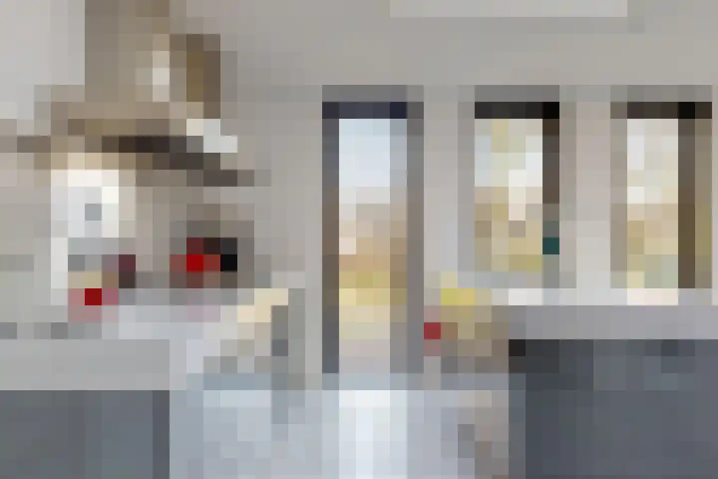 Notarisappel 186 Tiel thumbnail 16