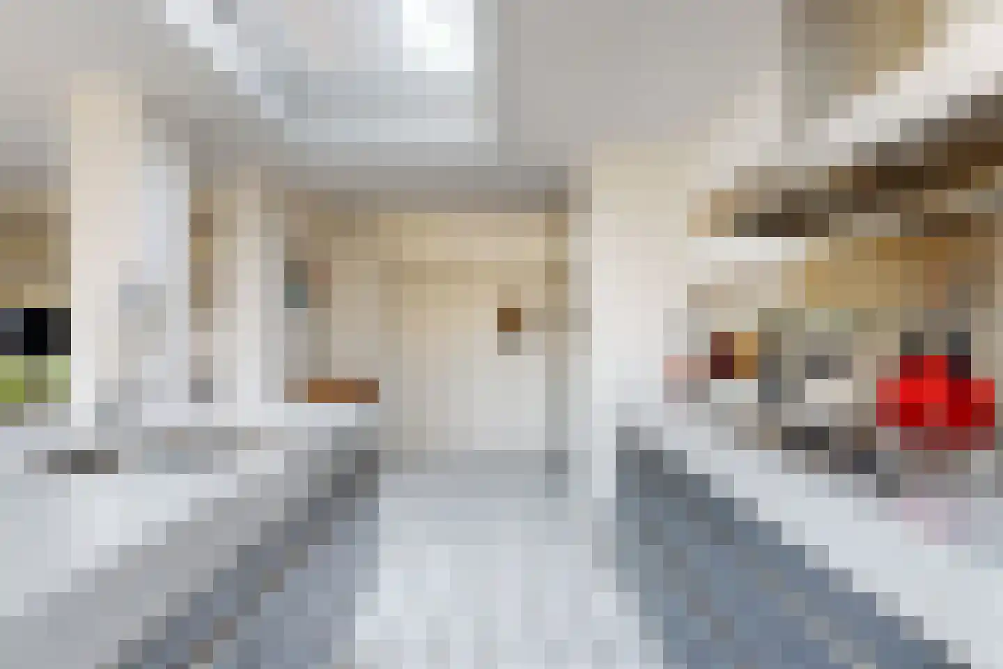 Notarisappel 186 Tiel thumbnail 20