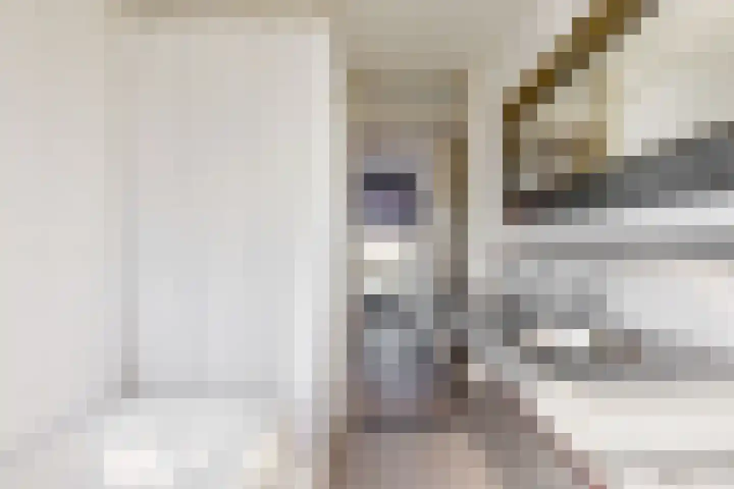 Notarisappel 186 Tiel thumbnail 29