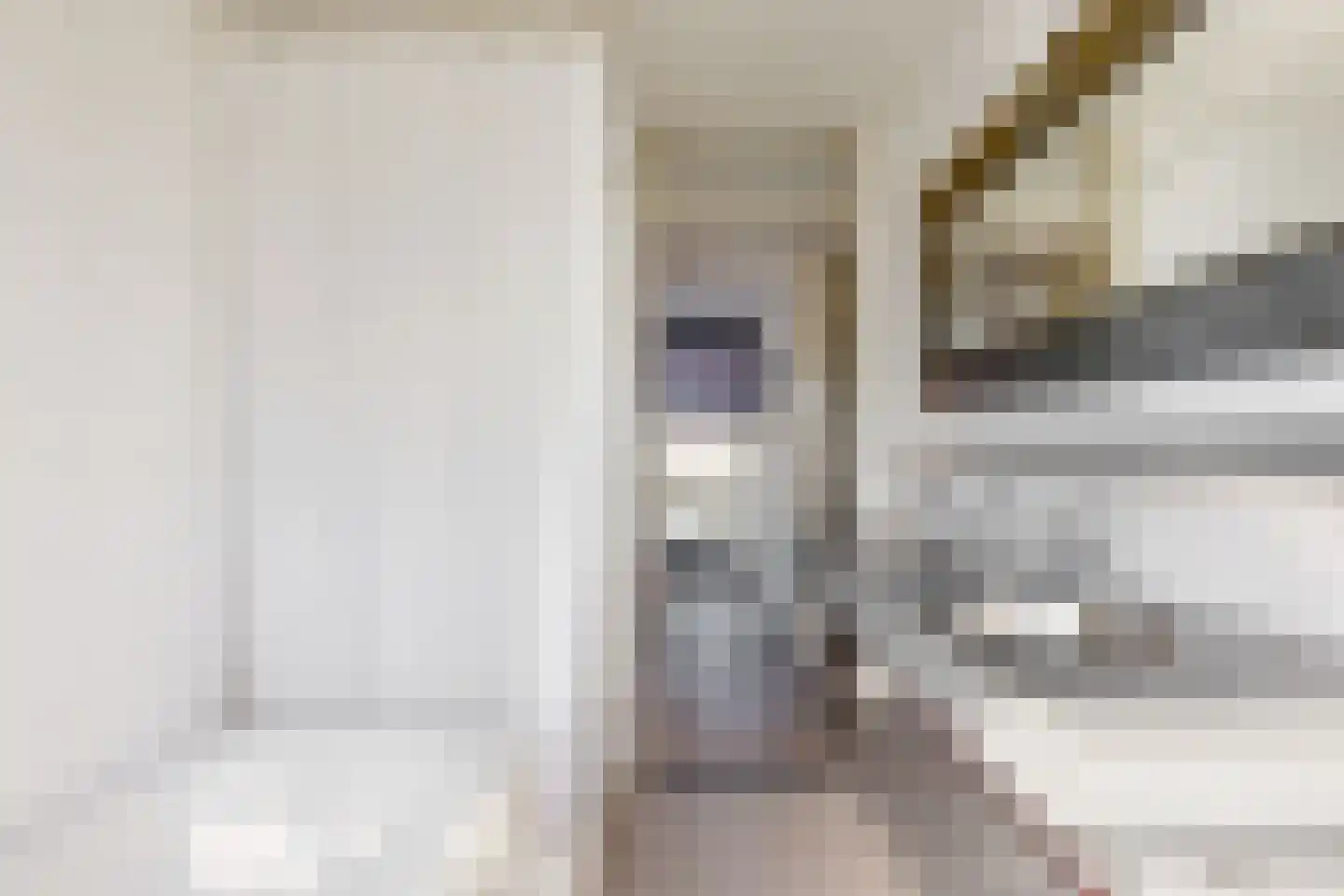 Notarisappel 186 Tiel thumbnail 32
