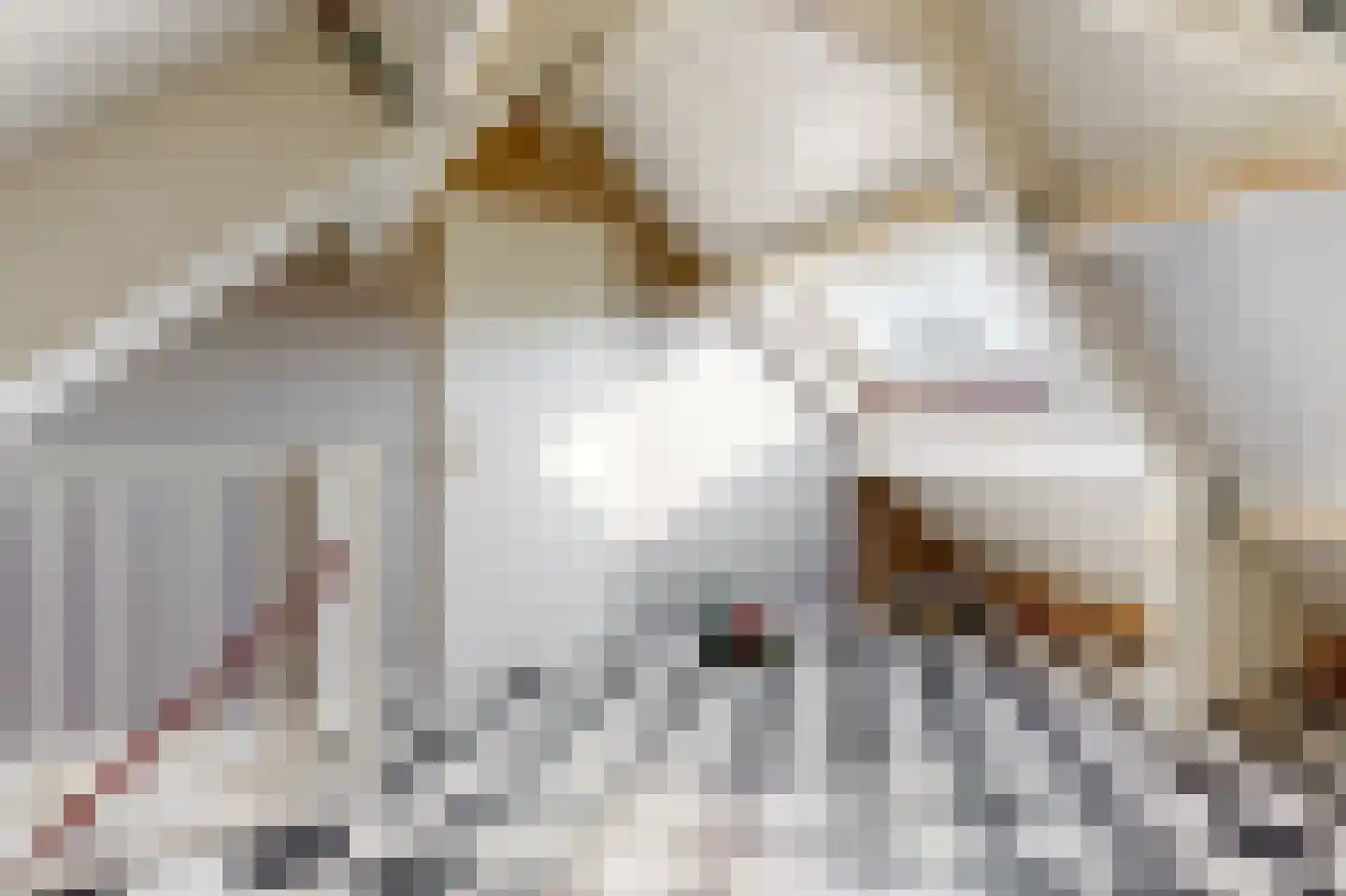 Notarisappel 186 Tiel thumbnail 32
