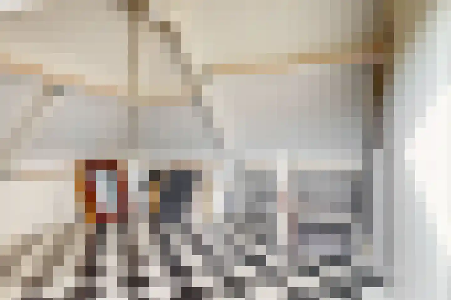 Notarisappel 186 Tiel thumbnail 33