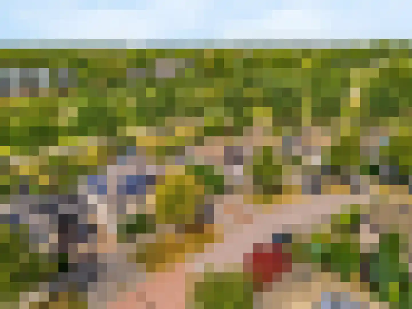 Notarisappel 186 Tiel thumbnail 34