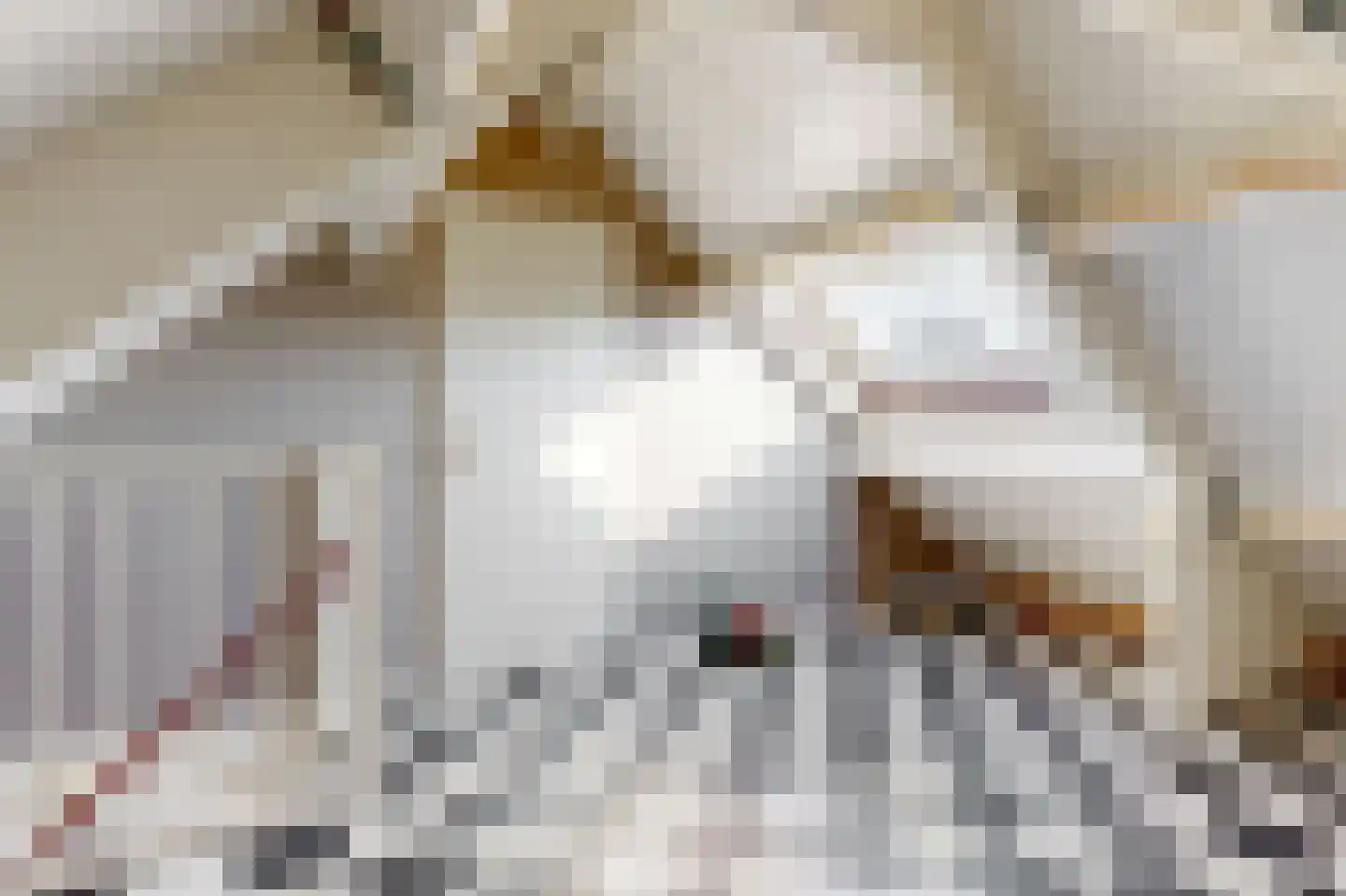 Notarisappel 186 Tiel thumbnail 35