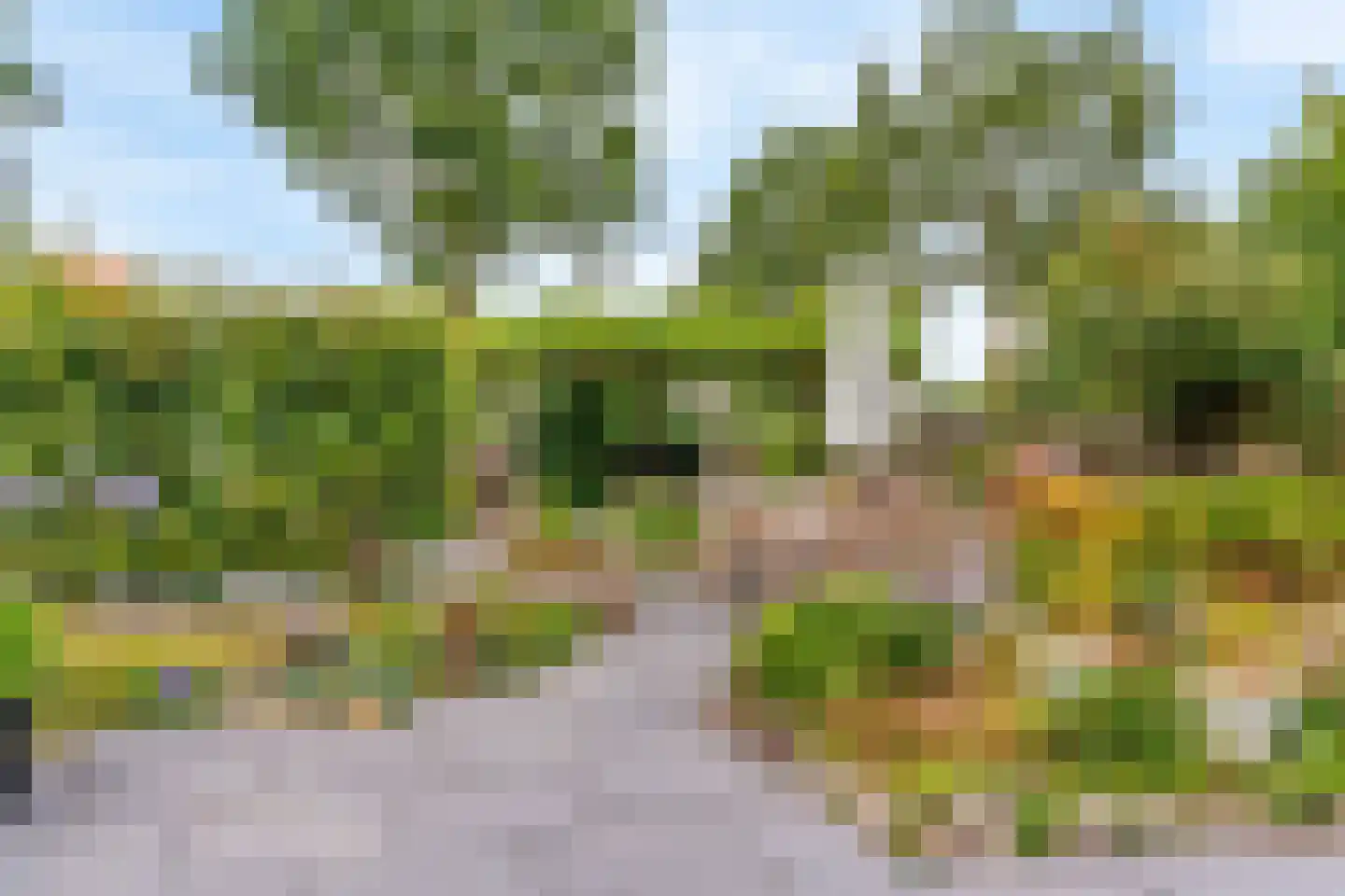 Notarisappel 186 Tiel thumbnail 39