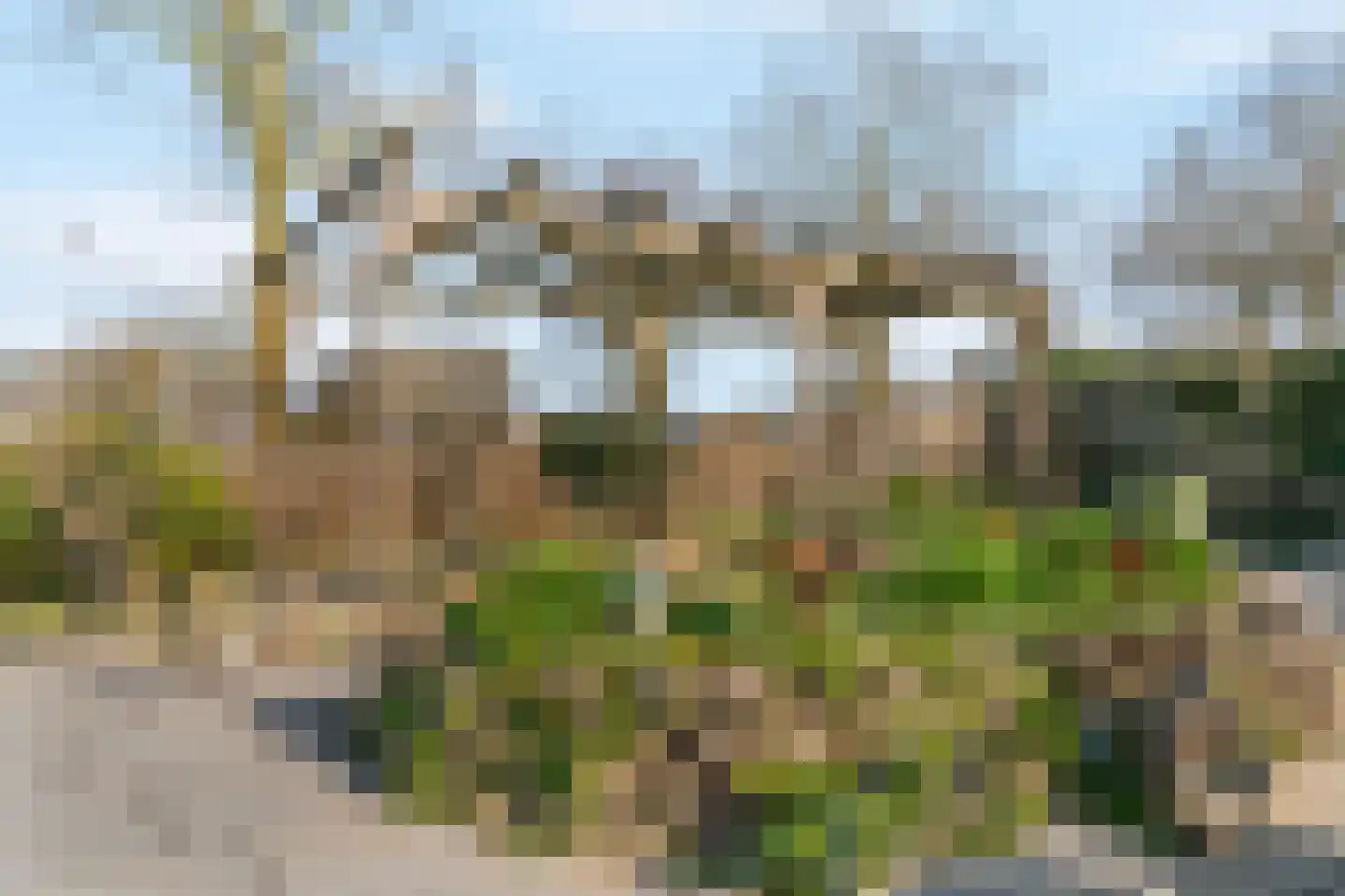 Notarisappel 186 Tiel thumbnail 39
