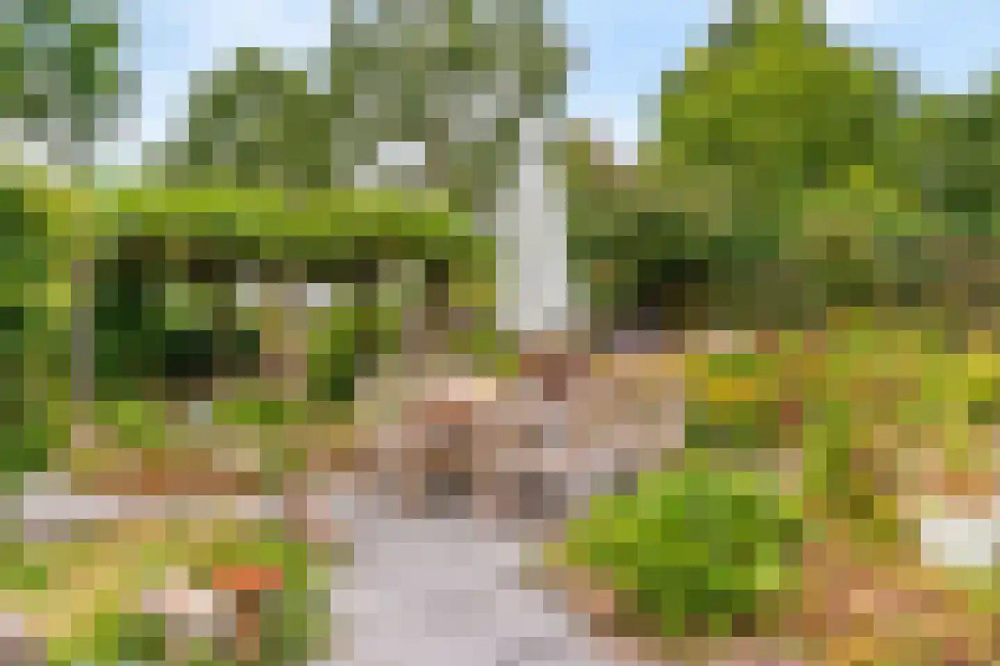 Notarisappel 186 Tiel thumbnail 40