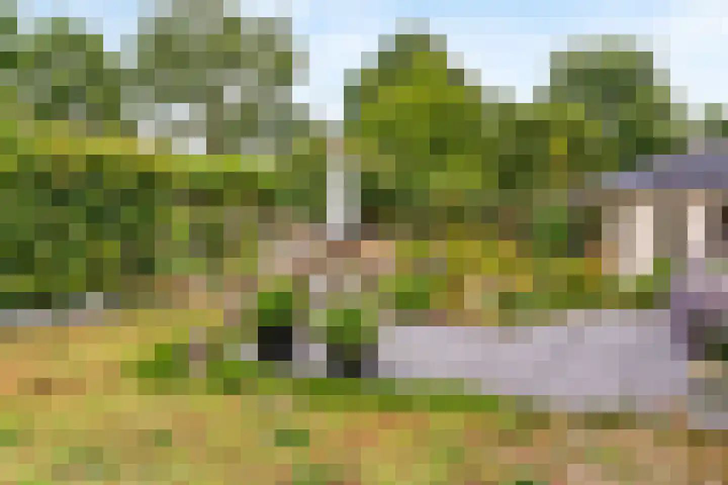Notarisappel 186 Tiel thumbnail 41