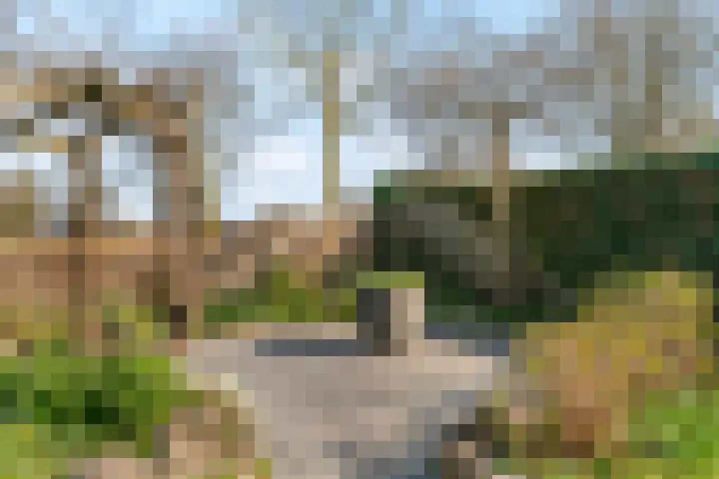 Notarisappel 186 Tiel thumbnail 41