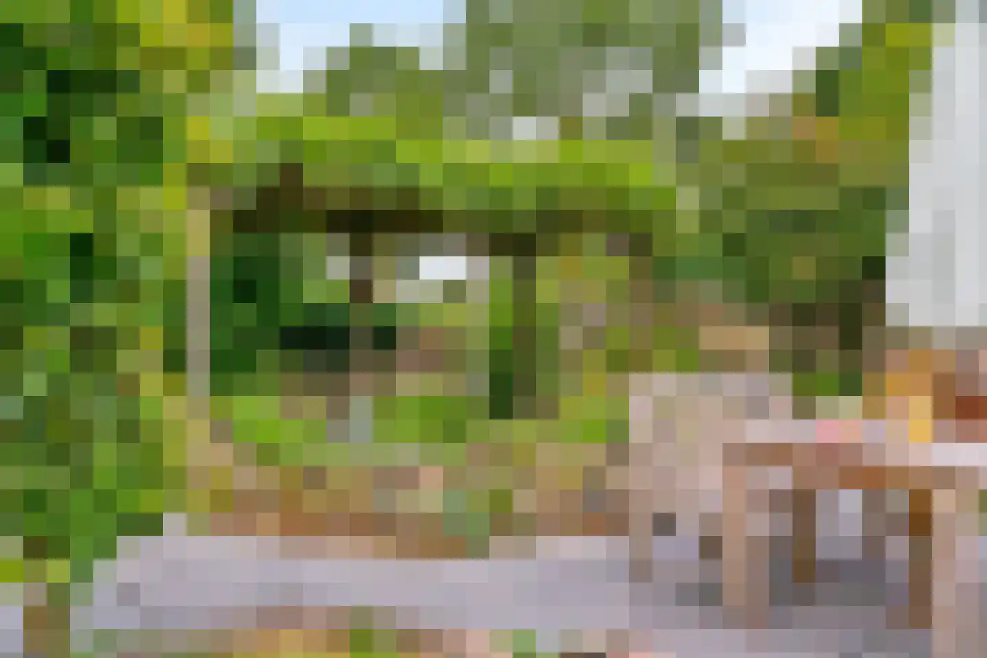 Notarisappel 186 Tiel thumbnail 42
