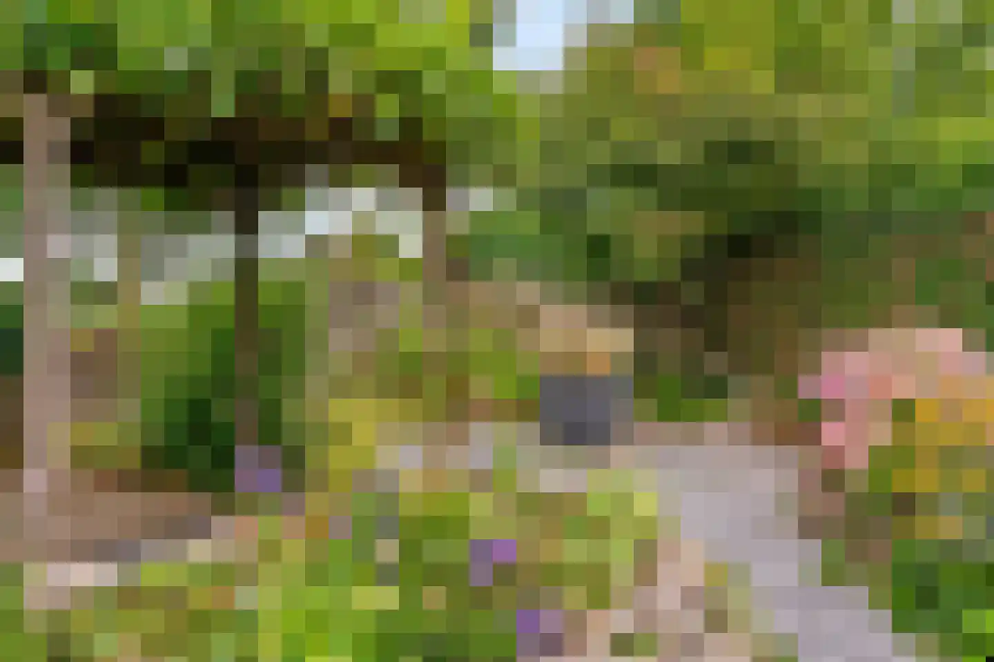 Notarisappel 186 Tiel thumbnail 43