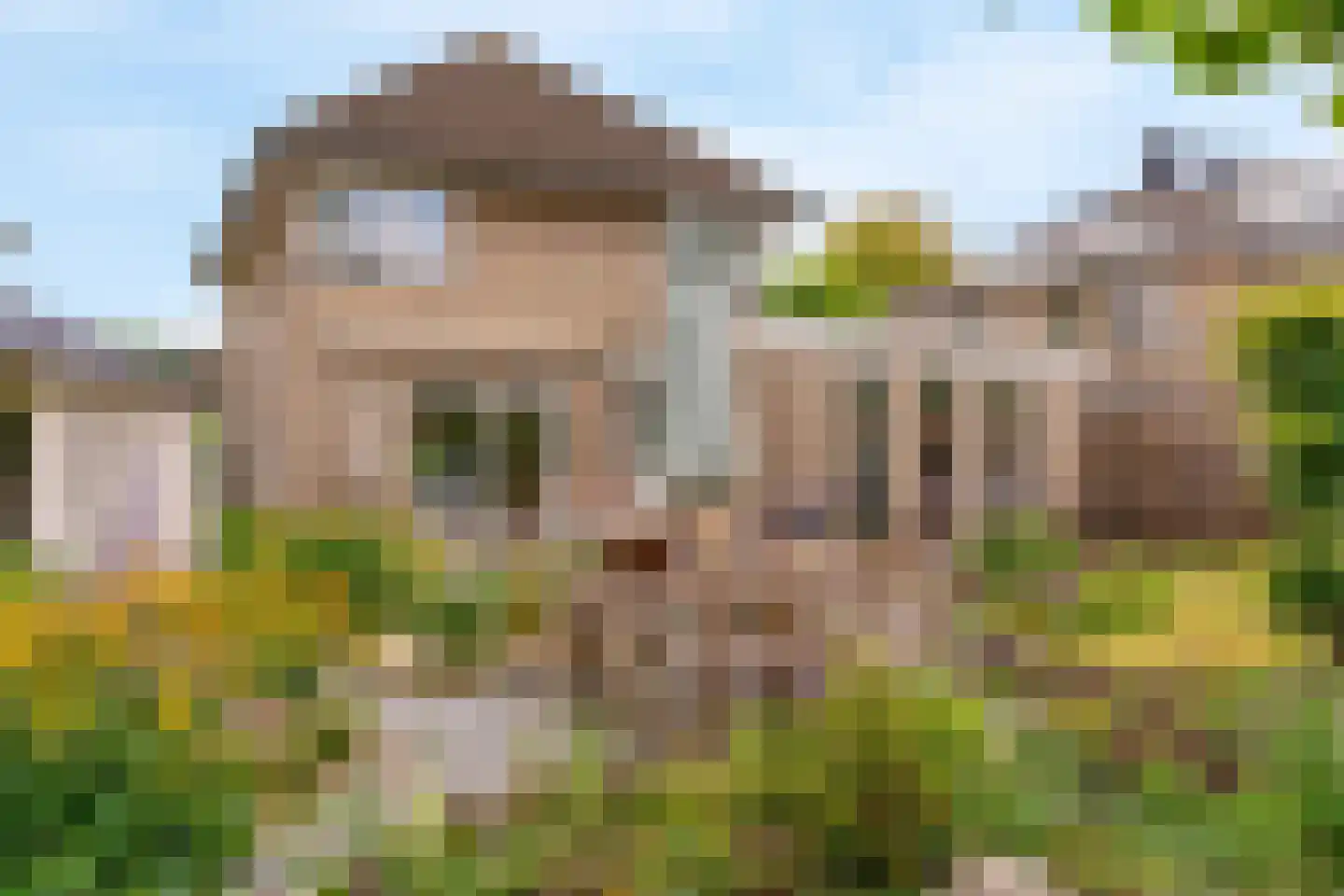 Notarisappel 186 Tiel thumbnail 46