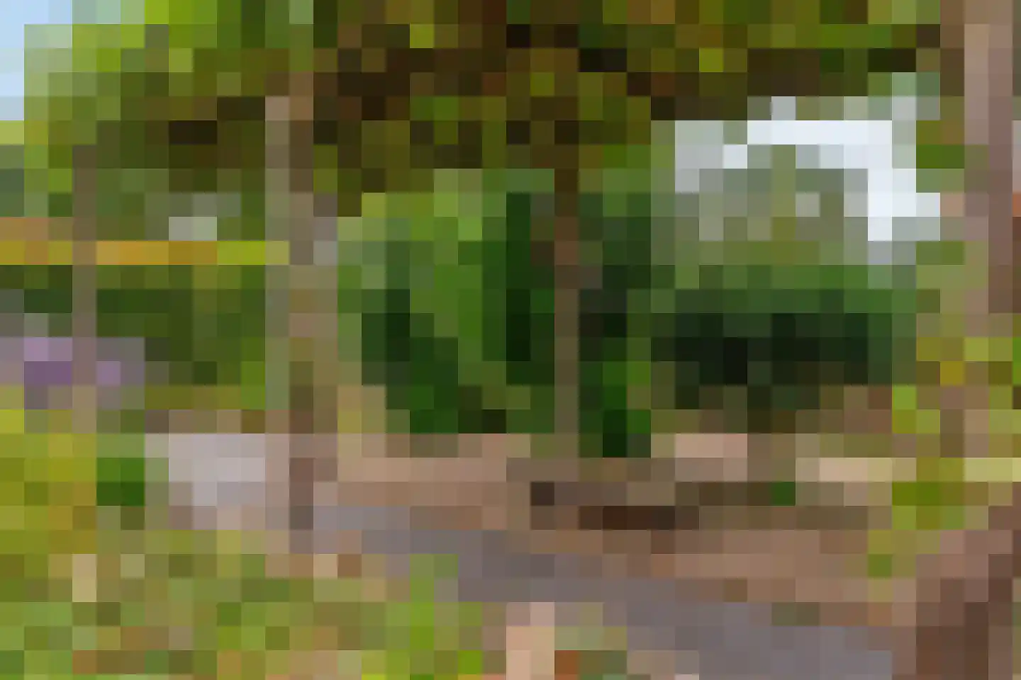Notarisappel 186 Tiel thumbnail 48