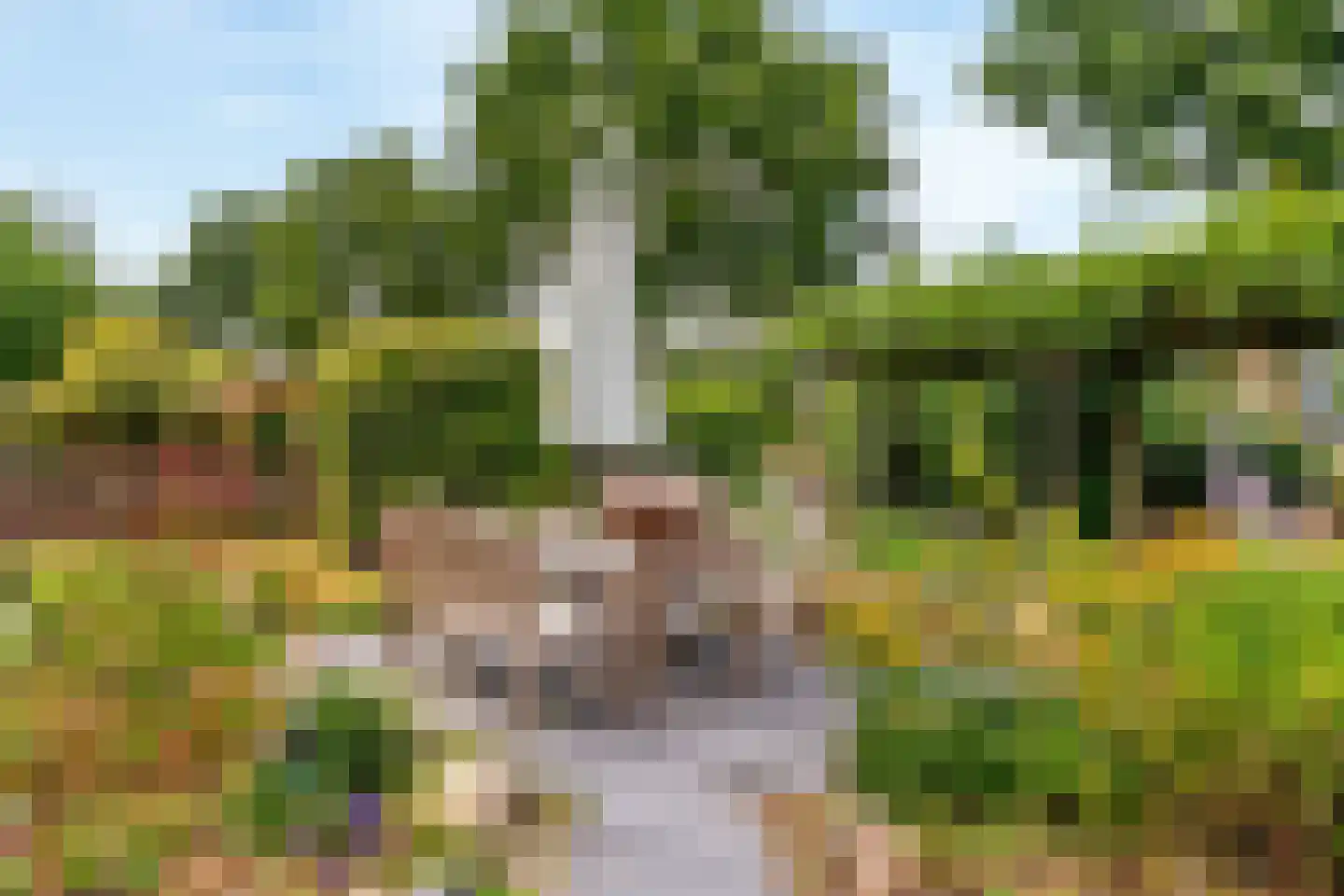 Notarisappel 186 Tiel thumbnail 52