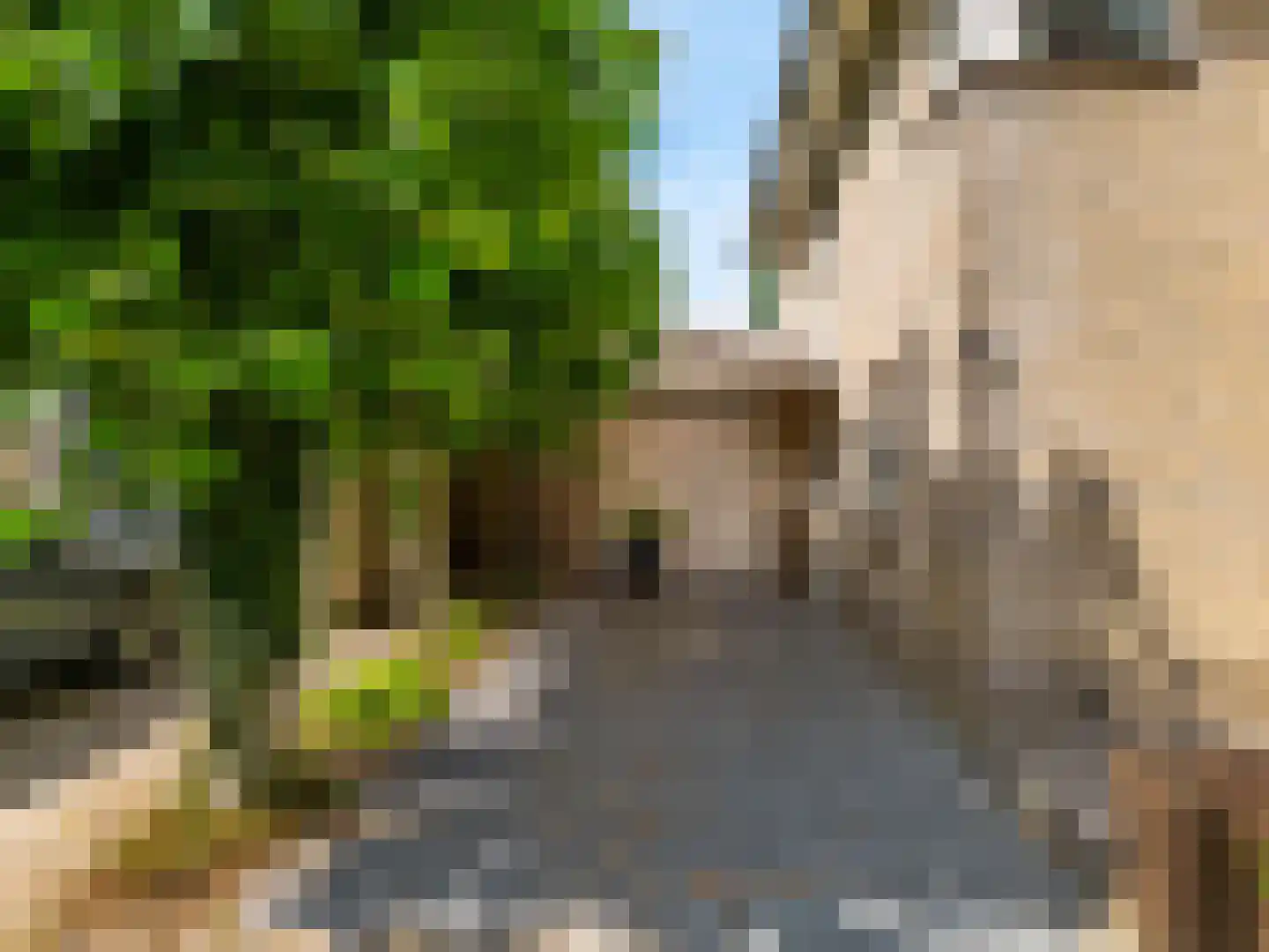 Notarisappel 186 Tiel thumbnail 54