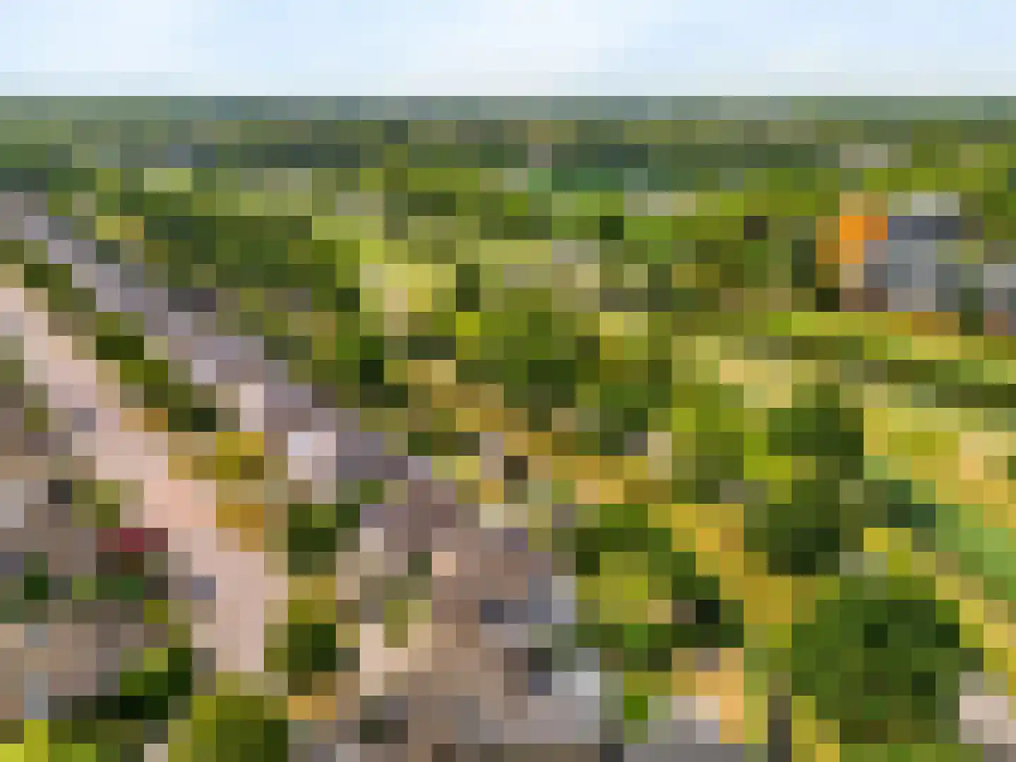 Notarisappel 186 Tiel thumbnail 56