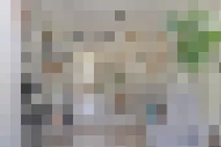 Notarisappel 188 Tiel thumbnail 12