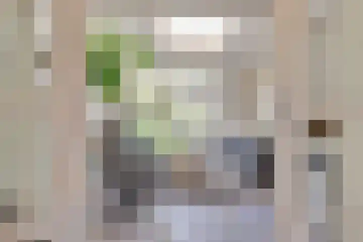Notarisappel 188 Tiel thumbnail 13