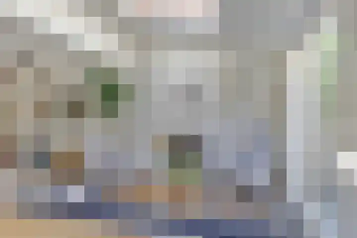 Notarisappel 188 Tiel thumbnail 15