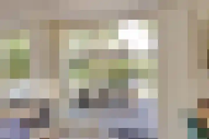 Notarisappel 188 Tiel thumbnail 16