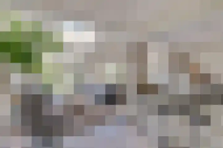 Notarisappel 188 Tiel thumbnail 17