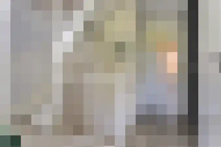 Notarisappel 188 Tiel thumbnail 24