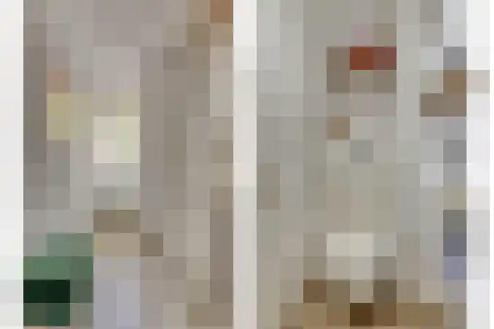 Notarisappel 188 Tiel thumbnail 25